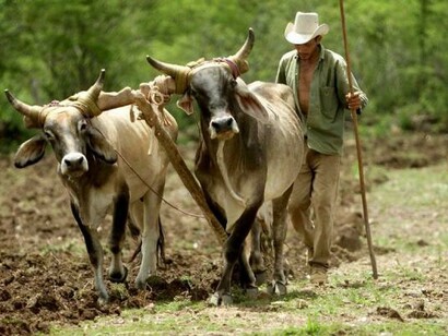 En 2013, durante el paro agrario nacional, Quintana apoyó públicamente a los campesinos colombianos