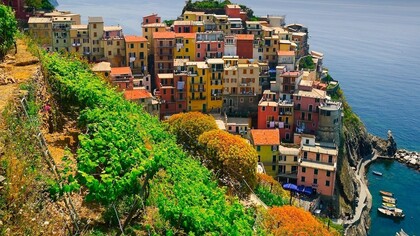 Vinyard at Manarola, Italy