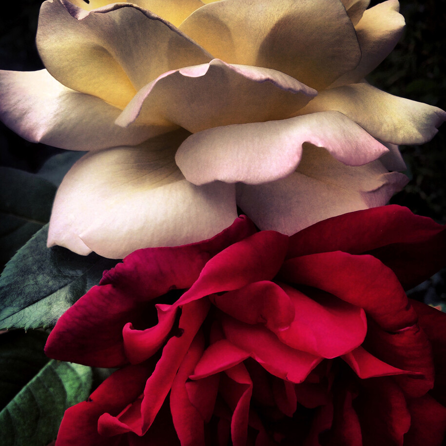 John Arsenault, 11:39 am, Los Angeles, 2013, Signed, titled, dated, and numbered, verso, Chromogenic print, 30 x 30 inches (Edition of 5), 13.5 x 13.5 inches (Edition of 10)