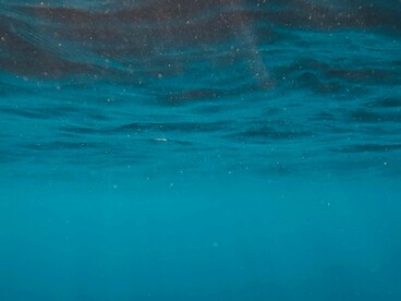 L’aumento della temperatura marina provoca lo scioglimento dei ghiacci polari e l’innalzamento del livello del mare