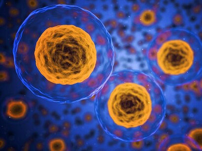 Gli sprechi in sanità ammontano a circa il 20-30% delle spese sanitarie correnti, oltre venti miliardi di euro all’anno