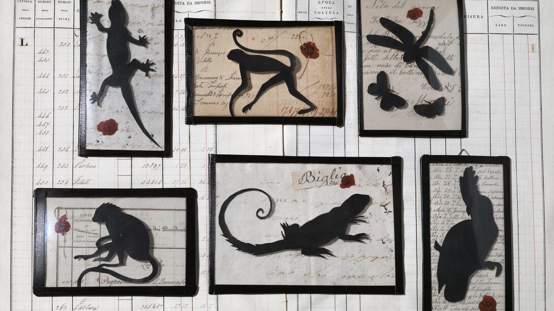 Small collage under antique handblown glass