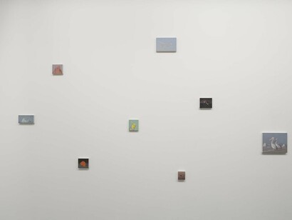 Miguel Branco, Spectres, Exhibition view. Courtesy of Jeanne Bucher Jaeger
