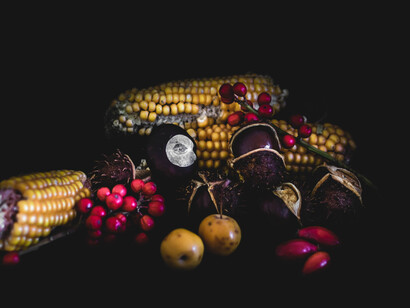 Cibo a chilometri zero