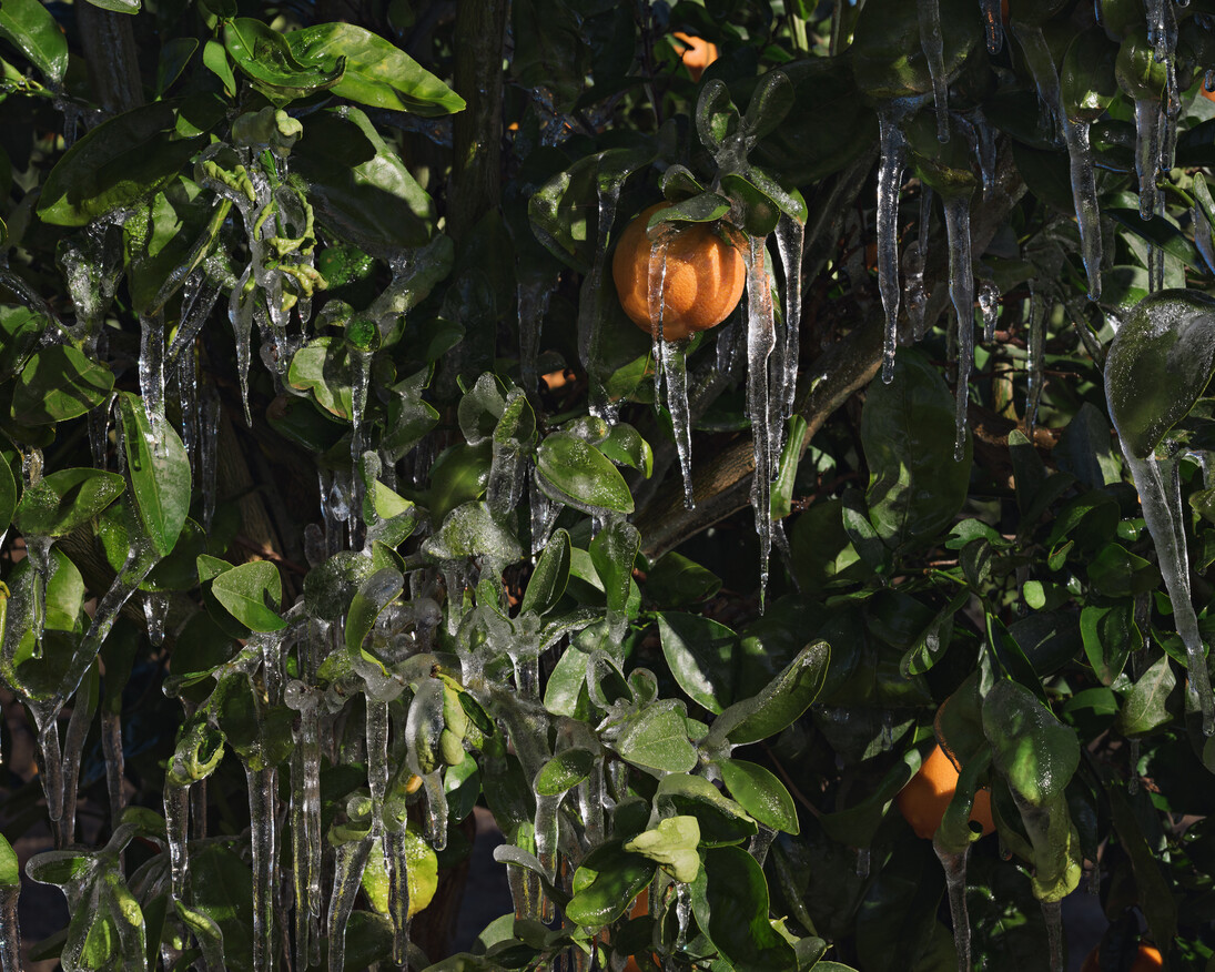 Lucas Foglia. Human Nature. Courtesy of Michael Hoppen Gallery