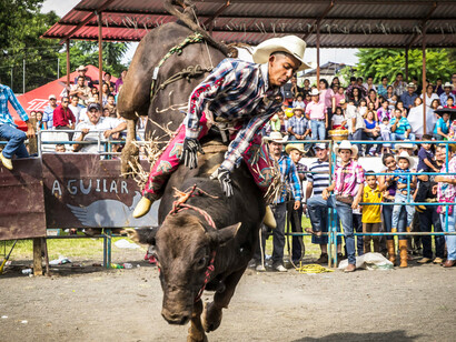 A man in a plaid shirt riding a bull in Mexico