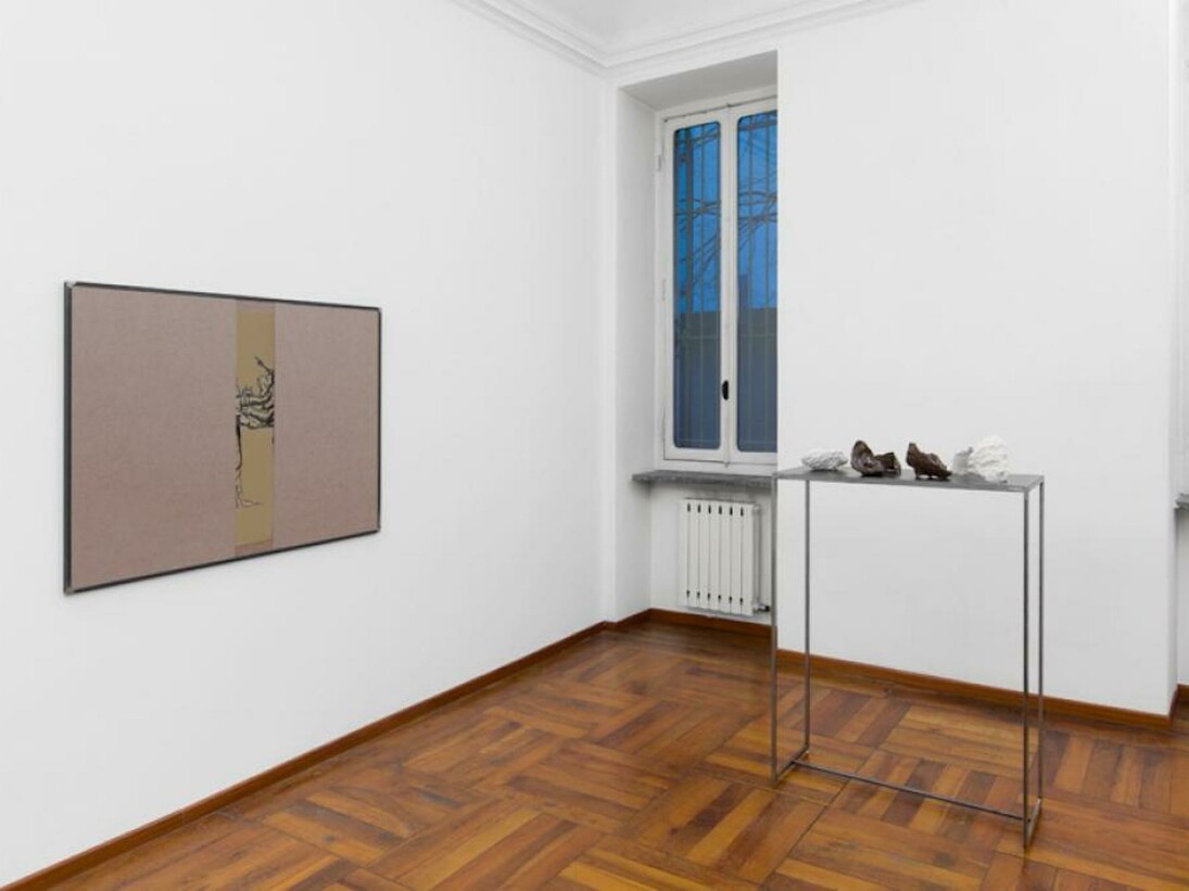 Cosimo Veneziano, exhbiition view. Courtesy of Alberto Peola