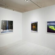 This Land is your Land, Exhibition view. Courtesy of Sous Les Etoiles Gallery