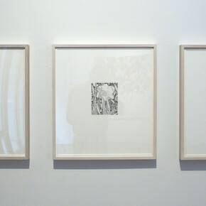 Summer Gardens, Exhibition view. Courtesy of Nancy Hoffman