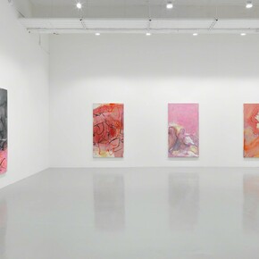 Rita Ackermann, Kline Rape, Exhibition view. Courtesy of Hauser & Wirth