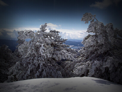 Sila, Calabria, Italia. Nel meridione d'Italia, tra i suggestivi paesaggi della Calabria, si trova un gioiello invernale meno conosciuto ma altamente affascinante: la regione montuosa della Sila