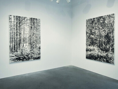 Glass Summers. Courtesy of Eleanor Harwood Gallery