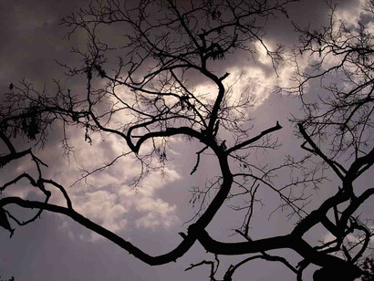 Paisaje tenebroso que evoca el miedo en muchas personas