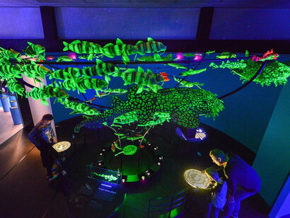 Unseen Oceans. Courtesy of American Museum of Natural History