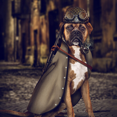 Emre Yusufi War Dog American. Mixmedia Akrilik aluminyum  forex sıvama Diasec Baskı