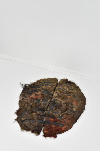 Cervelle tapis à la sangle et aux cheveux de Bruxellois, 2015, Technique mixte