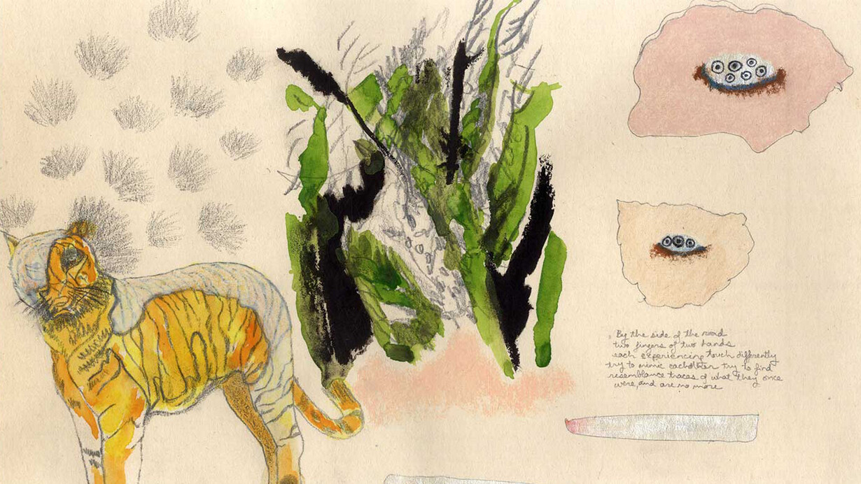 Jumana Emil Abboud, A Happy Ending part II: Two Skins, 2015, Pencil, gouache and pastel on paper. Image courtesy and © the artist