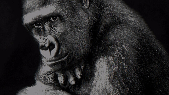 Isabel Muñoz. Platinotipias. Courtesy of N2