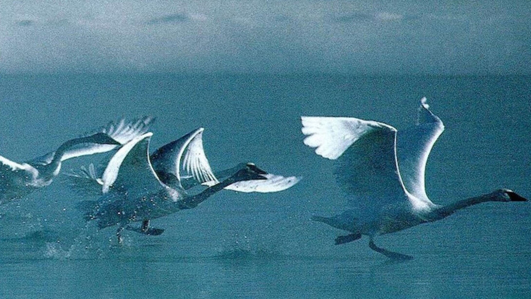 C’è un centro sopra la terra e uno sotto la terra