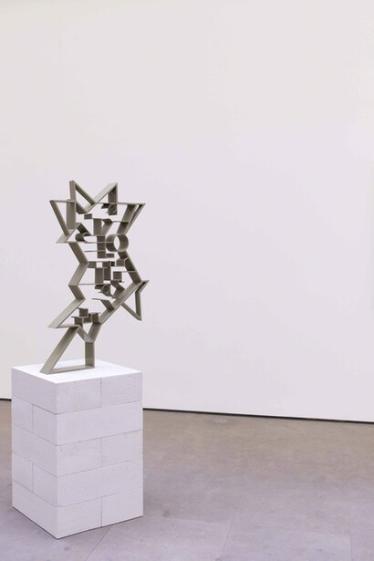 Rodrigo Matheus. Courtesy of Nathalie Obadia Gallery