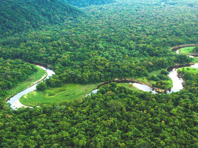 Rio Amazonas, Brasil