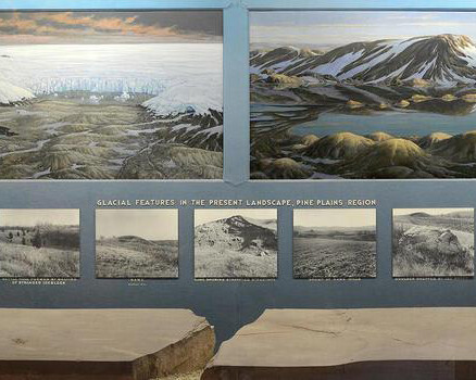 Felix M. Warburg Hall of New York State Environment. Courtesy of American Museum of Natural History