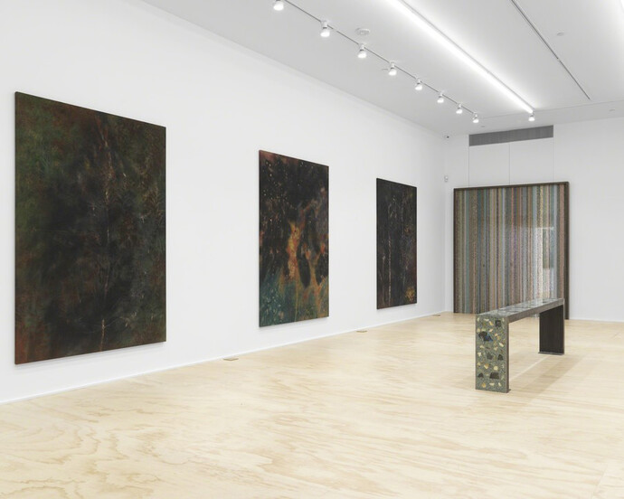 Sam Falls, Exhibition view. Courtesy of Eva Presenhuber