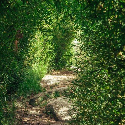 Scrivere versi è un atto di cura: trasforma il dolore in seme e lo lascia fiorire