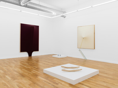 Kiah Celeste and Gordon Hall, Artifact unidentified, exhibition view. Courtesy of Document Gallery
