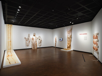 Tanya Aguiñiga and Porfirio Gutiérrez, Sangre de Nopal/blood of the Nopal, exhibition view. Courtesy of Fowler Museum