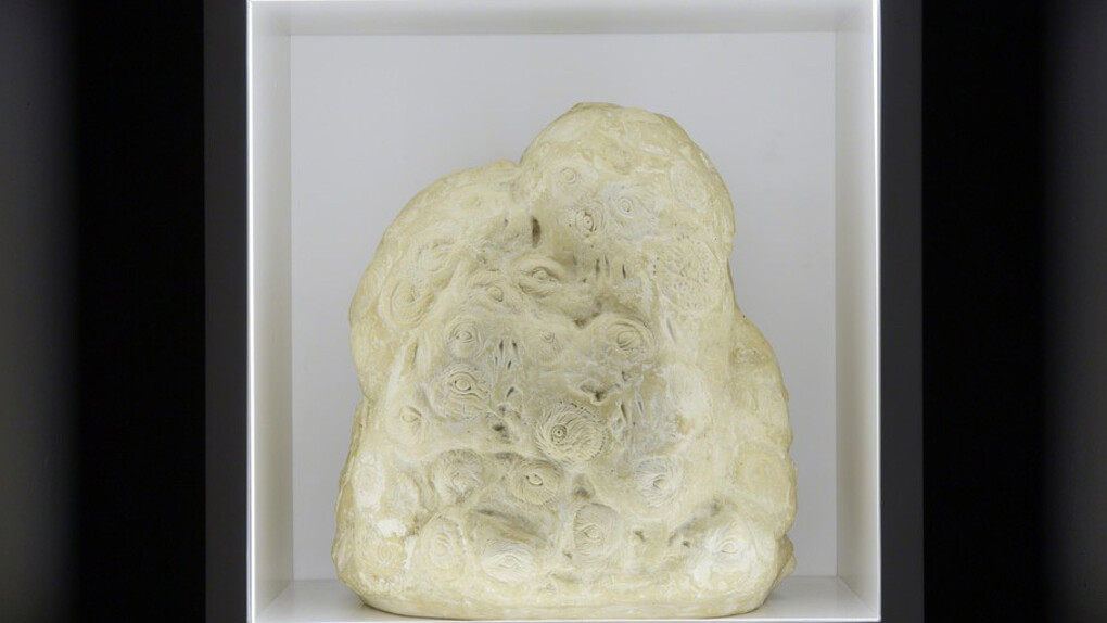 Jitish Kallat. The Box. Courtesy of Pippy Houldsworth Gallery