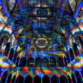 Enlightenment. Mit freundlicher genehmigung von Fever