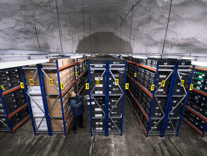 Archivio di semi. L'eredità del Global Seed Vault: una testimonianza della nostra responsabilità verso la natura. Norvegia