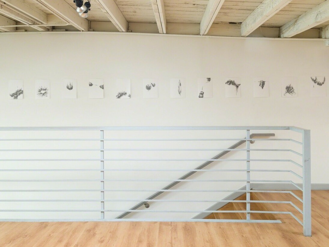 Manifestos, Exhibition view. Courtesy of Ochi Projects