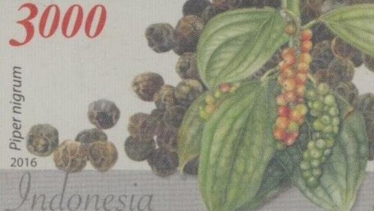 Stamp of Indonesia (2016) - piper nigrum, paying homage to the plant's origin
