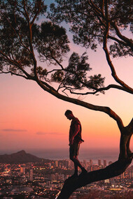 A man stands on a tree branch at sunset in Honolulu, Hawaii, silhouetted against the glowing sky