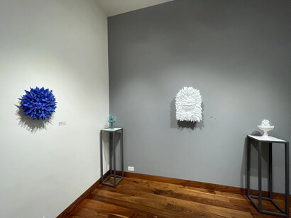 Amber Cowan, exhibition view. Courtesy of Momentum Gallery