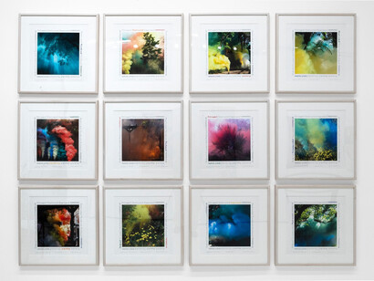 Various artists, Flaming June | Body heat, exhibition view. Courtesy of Gavlak Gallery