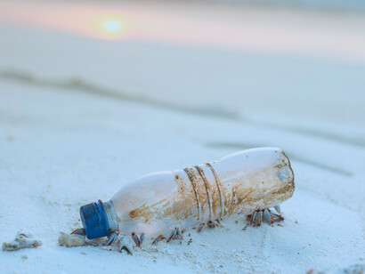 Botella de plástico en la orilla del mar, encontrada en las Islas privadas de Niyama en Las Maldivas
