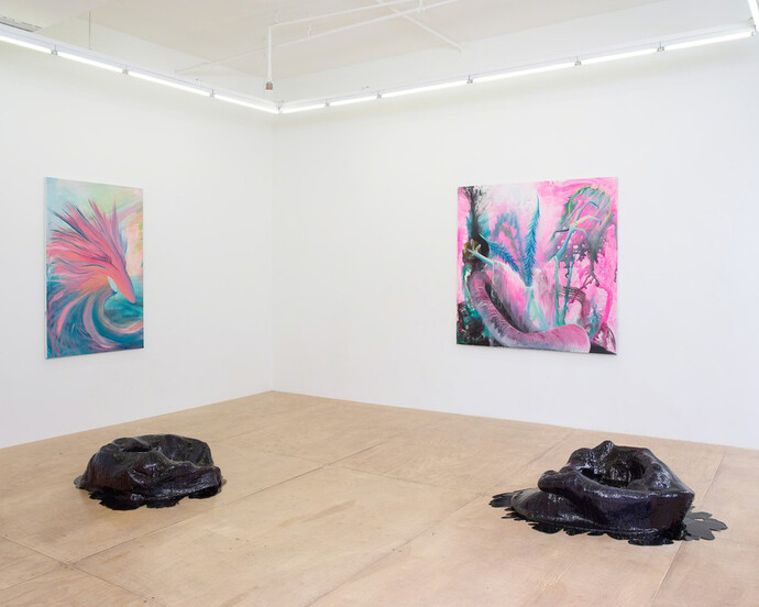 Power, Success, Magic, Dream. Exhibition view. Courtesy of Downs & Ross 