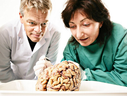 Los misterios del cerebro