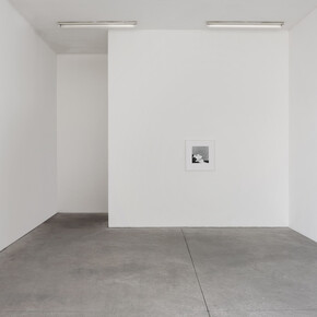 Robert Mapplethorpe. Courtesy of Galleria Franco Noero