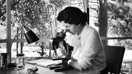 Rachel Carson, al suo lavoro scientifico e al suo pensiero si sono ispirate tutte le associazioni ecologiste