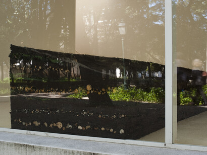 Gabriela Albergaria, Couche Sourde, 2014, soil, tree leaves and branches, Variable dimensions. Photo courtesy of the artist