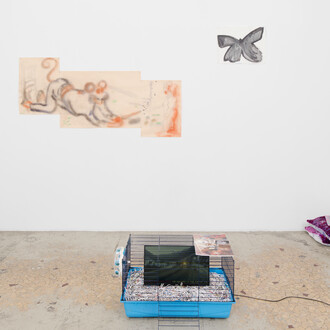 Various artists, Lick the toad, exhibition view. Courtesy of Galerie Anne Barrault