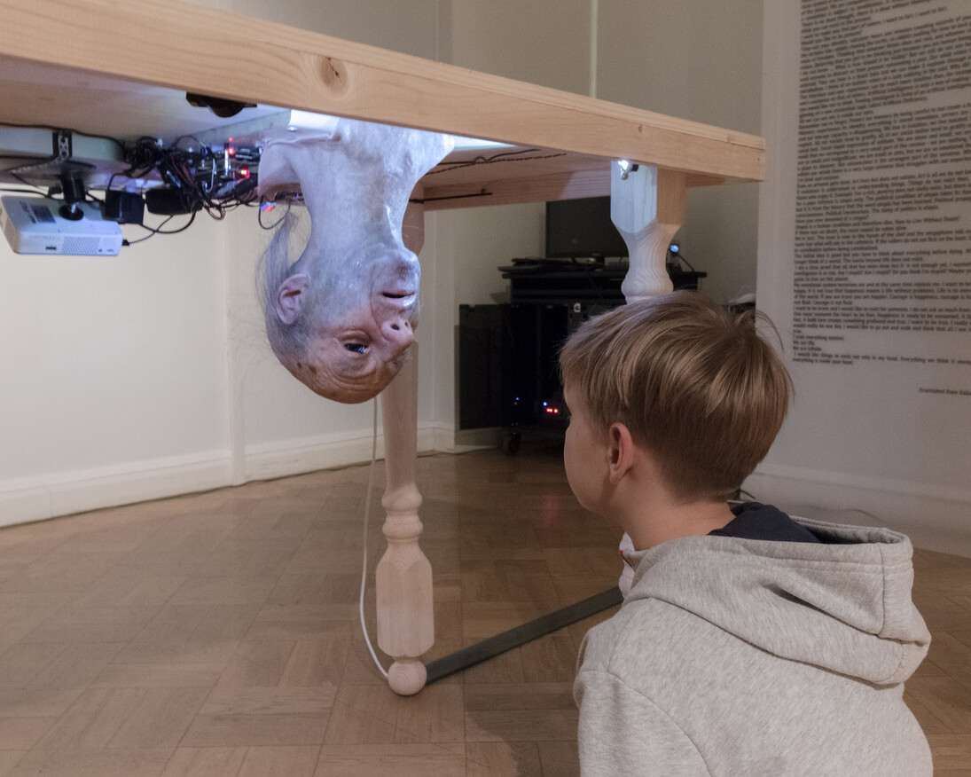 Donato Piccolo, Donato Piccolo, Thinking the unthinkable, installation View in Hermitage Museum, St Petersburgm Russia 2018 photo courtesy Cyland_ Антон Хлабов