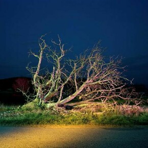 Gerard Byrne, Route à la Campagne, avec Arbre, Soir. Au virage de la departementale qui relie Roussillon à Gargas, entre les Clos, de l' Urbane et les Bourgues, 2008. Fuij Crystal Archive Print, 88 x 110 cm, 34 2/3 x 43 1/3 in, BYRG/E 1