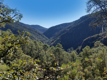 Latuvi (Oaxaca, Messico) il villaggio dove vive Pilar