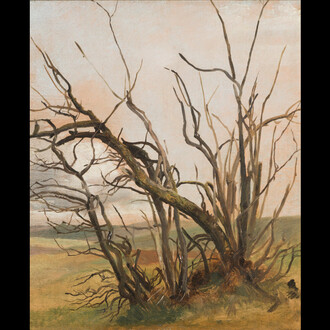 Fragment Natur. Courtesy of Galerie Knoell