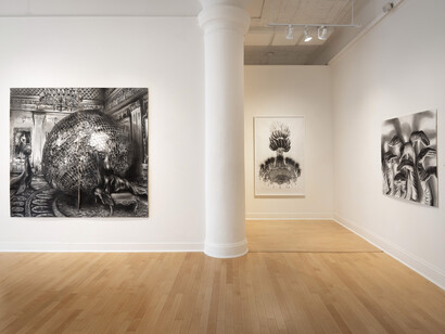 Gonzalo Fuenmayor, A certain slant of light, exhibition view. Courtesy of Dolby Chadwick Gallery